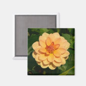 Aimant Dahlia 'David Howard' (Recto/Verso)