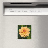 Aimant Dahlia 'David Howard' (In Situ (Lave-vaisselle))