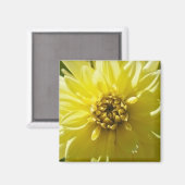 Aimant Dahlia Jaune (Recto/Verso)