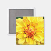 Aimant Dahlia jaune (Recto/Verso)
