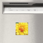 Aimant Dahlia jaune (In Situ (Lave-vaisselle))