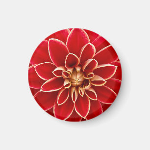 Aimant Dahlia Rouge Éclatant