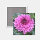 Aimant dahlia violet (Recto/Verso)