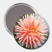 Aimant Dahlias Fleur Éblouissante (Recto/Verso)
