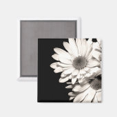 Aimant Daisies (Recto/Verso)