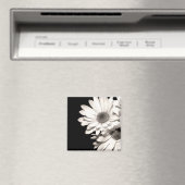Aimant Daisies (In Situ (Lave-vaisselle))