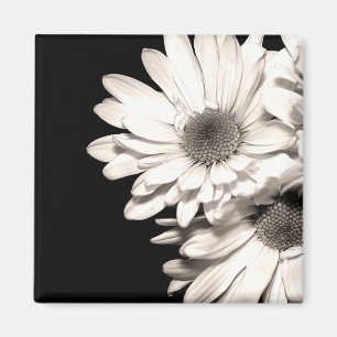 Aimant Daisies