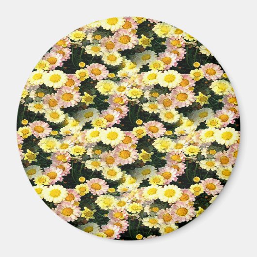 Aimant Daisies Galore...... (Devant)