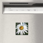 Aimant Daisy (In Situ (Lave-vaisselle))