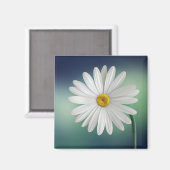 Aimant Daisy (Recto/Verso)