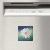 Aimant Daisy (In Situ (Lave-vaisselle))