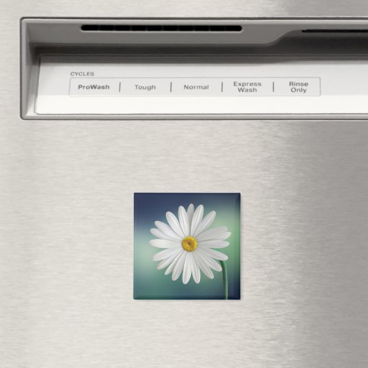 Aimant Daisy (In Situ (Lave-vaisselle))