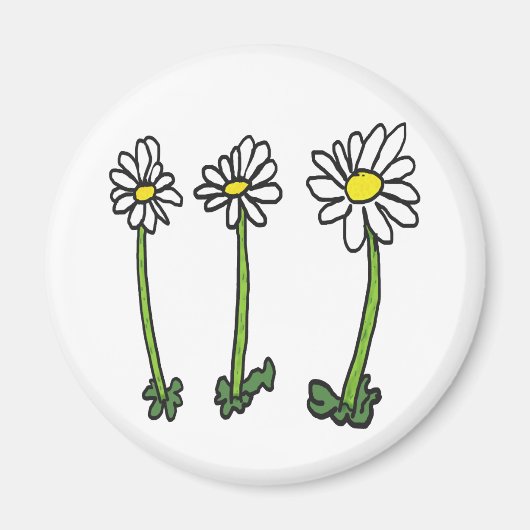 Aimant Daisy (Devant)