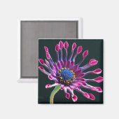 Aimant Daisy (Recto/Verso)