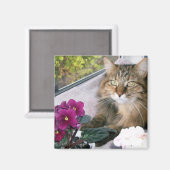 Aimant Daisy 4 (Recto/Verso)