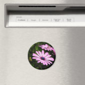 Aimant Daisy africain (In Situ (Lave-vaisselle))