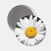 Aimant Daisy Darling (Recto/Verso)