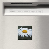 Aimant Daisy - Face vers le haut (In Situ (Lave-vaisselle))