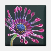 Aimant daisy love (Devant)