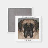 Aimant Daisy Promo (Recto/Verso)