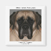 Aimant Daisy Promo (Devant)