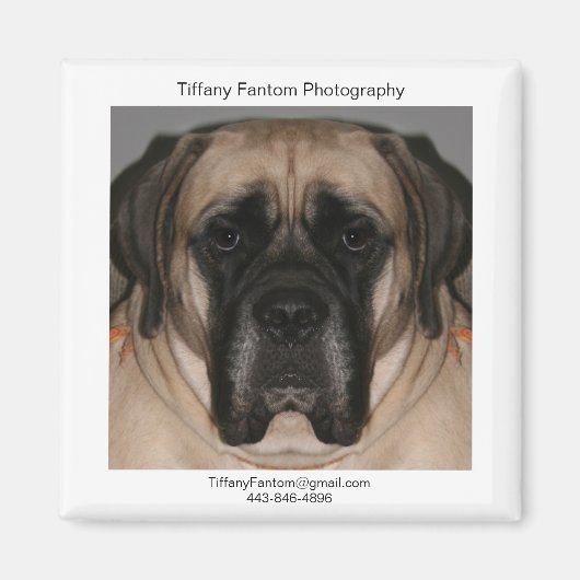 Aimant Daisy Promo (Devant)