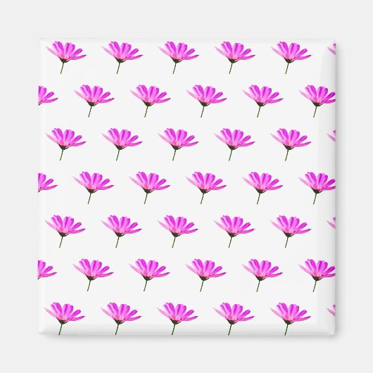 Aimant Daisy Rose (Devant)