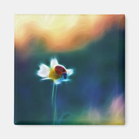 Aimant Daisybug (Devant)