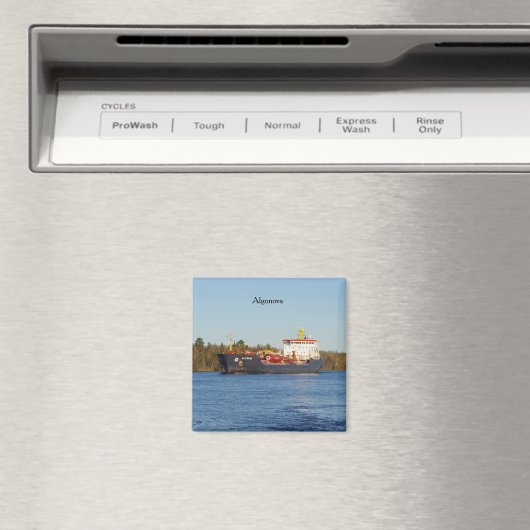 Aimant d'Algonova (In Situ (Lave-vaisselle))