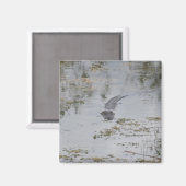 Aimant d'alignement (Recto/Verso)