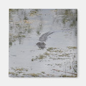 Aimant d'alignement (Devant)