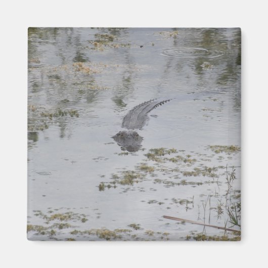 Aimant d'alignement (Devant)