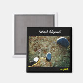 Aimant d'alignement naturel (Recto/Verso)