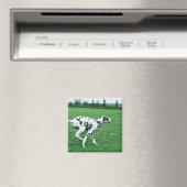 Aimant Dalmatien (In Situ (Lave-vaisselle))