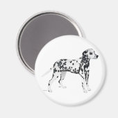Aimant Dalmatien (Recto/Verso)