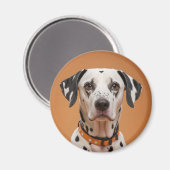 Aimant Dalmatien (Recto/Verso)