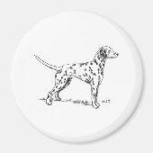 Aimant Dalmatien (Devant)