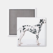 Aimant Dalmatien 3 (Recto/Verso)