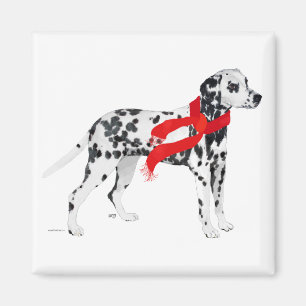 Aimant Dalmatien au foulard rouge