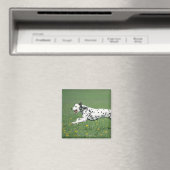 Aimant Dalmatien en cours (In Situ (Lave-vaisselle))