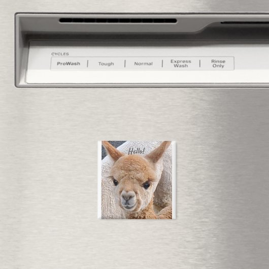 Aimant d'Alpaca (In Situ (Lave-vaisselle))