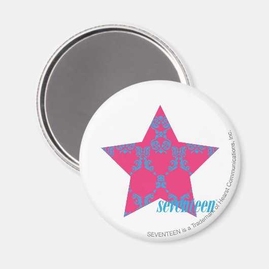 Aimant Damask Aqua-Magenta 2 (Recto/Verso)