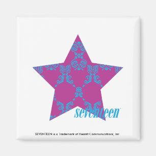 Aimant Damask Aqua-Purple 3