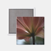 Aimant Dame rose (Recto/Verso)