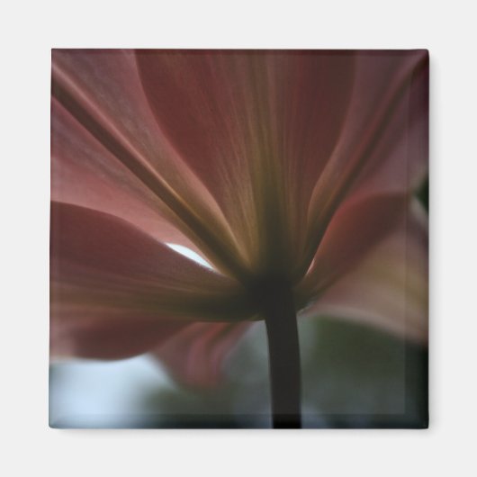 Aimant Dame rose (Devant)