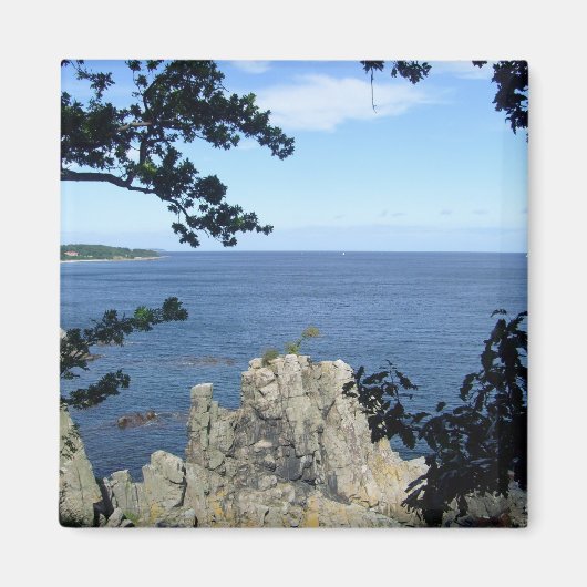 Aimant Danemark : Côte du Danemark (Devant)