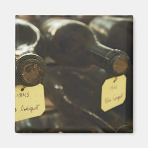 Aimant Dans la cave à vin souterraine : des bouteilles co