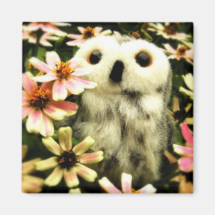 Aimant Dans la recherche des fées