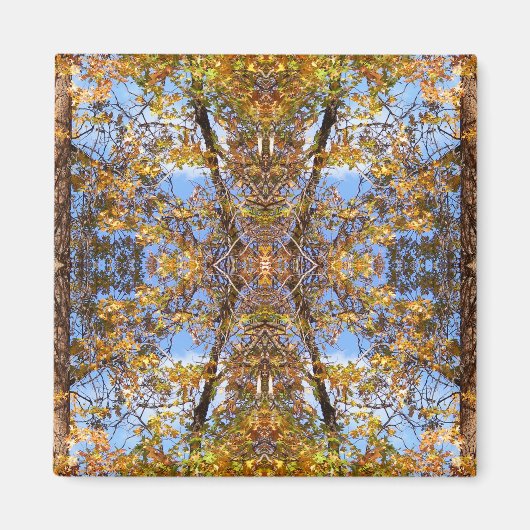 Aimant Dans la rue... (Devant)