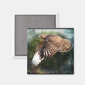 Aimant Dans l'aimant Sky (Recto/Verso)